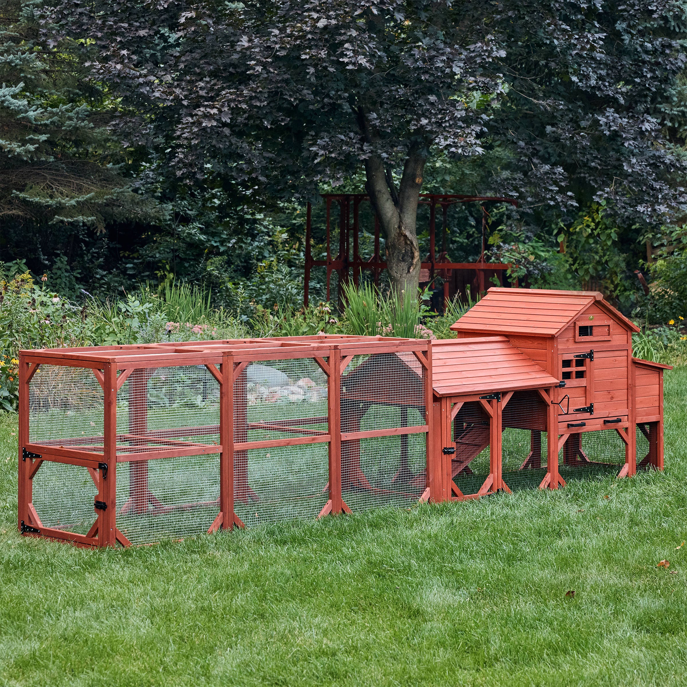 Chicken Coop for 4 Chickens – Leghorn Cottage Chicken Coop - Image 17