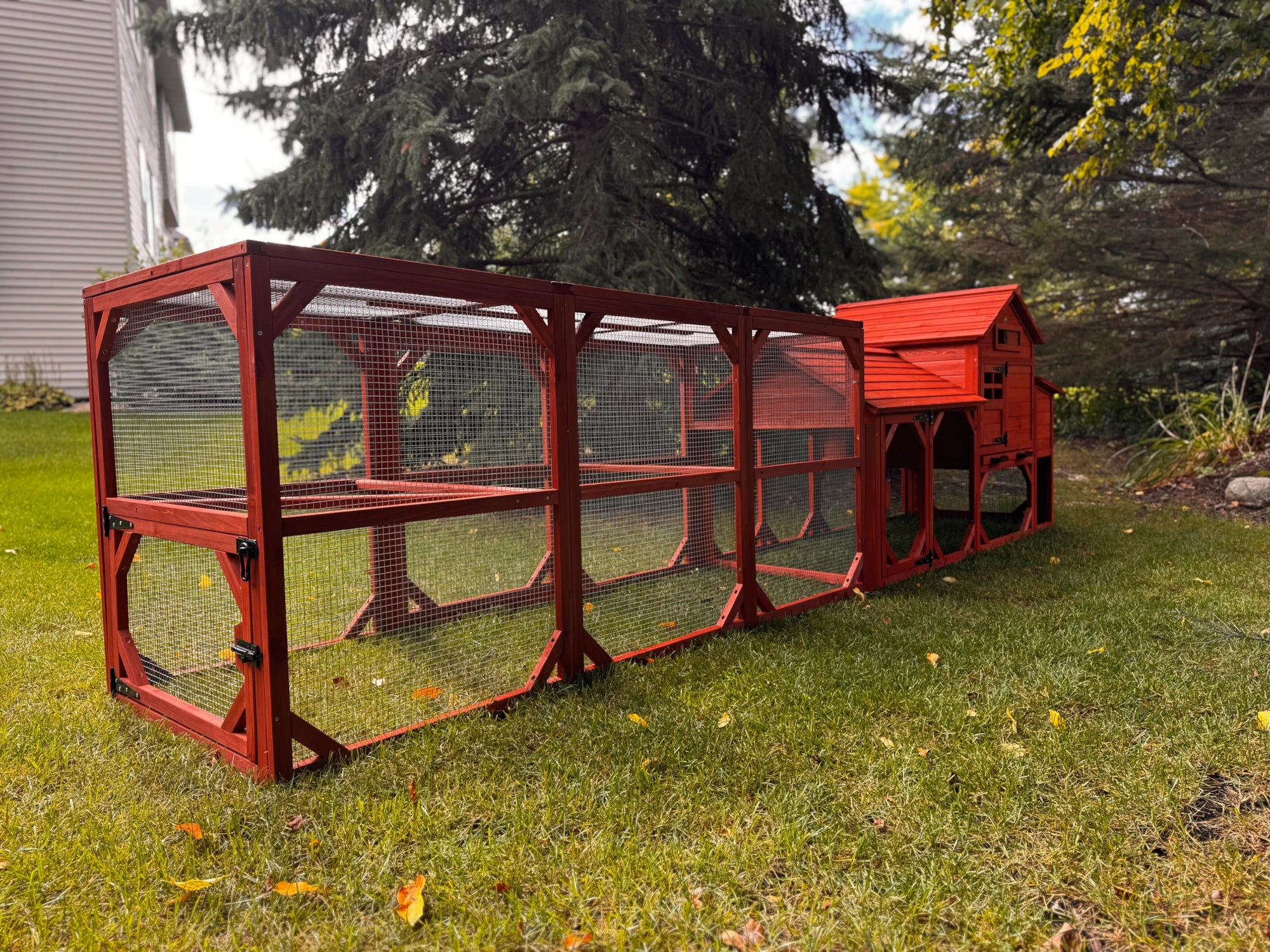 Chicken Coop for 4 Chickens – Leghorn Cottage Chicken Coop - Image 14