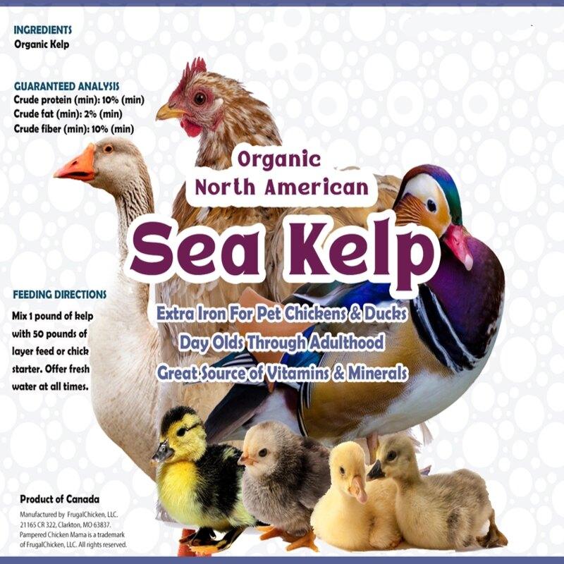 Sea Kelp For Extra Vitamins, Minerals, & Amino Acids For Pet Chickens & Ducks - Image 4