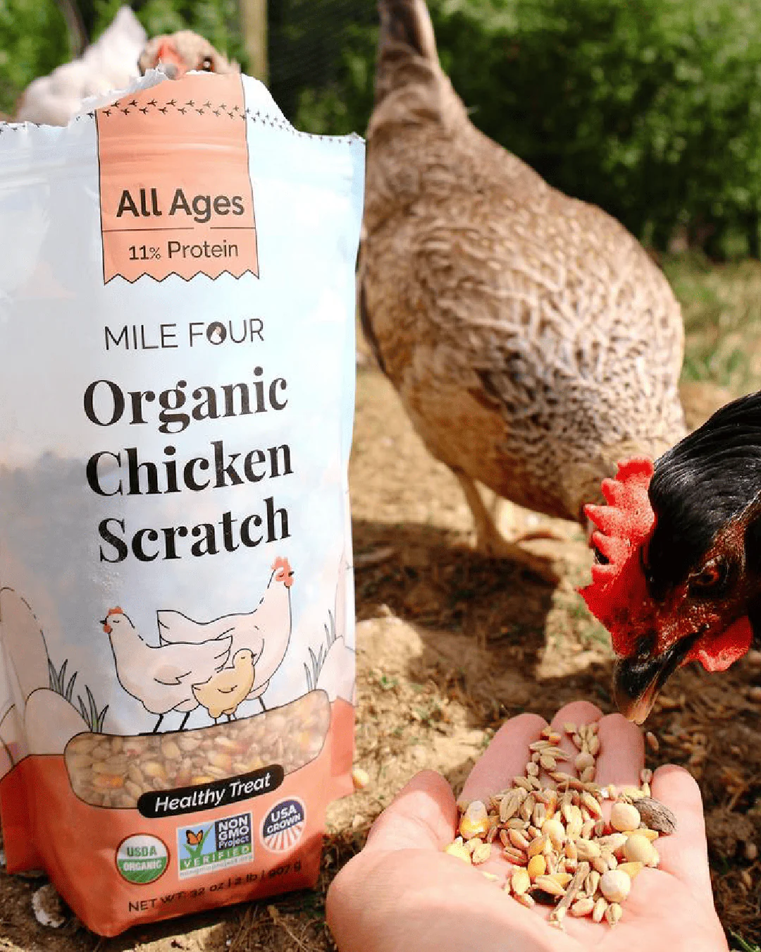 Organic Chicken Scratch - Image 9