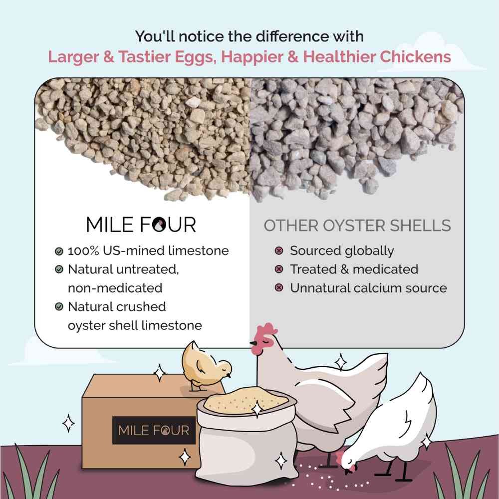 Oyster Shell - Image 4