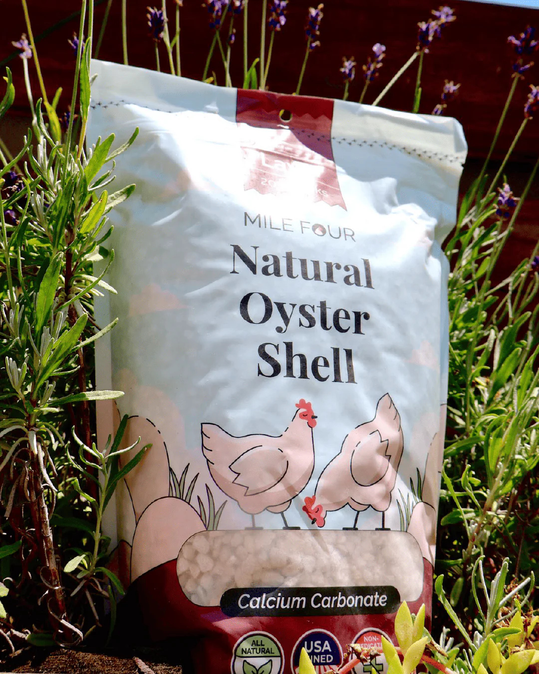 Oyster Shell - Image 7