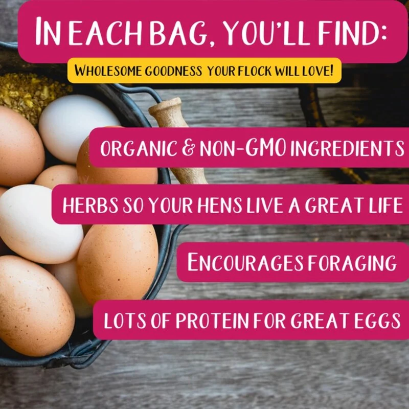 Powerhen High Protein Treat with Mealworms - Black Soldier Fly Larvae & Herbs For Backyard Chickens - Image 4