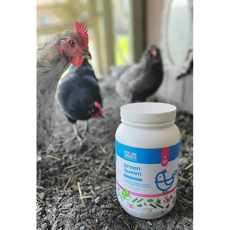 Preen Queen Dust Bath Additive for Chickens - Image 4