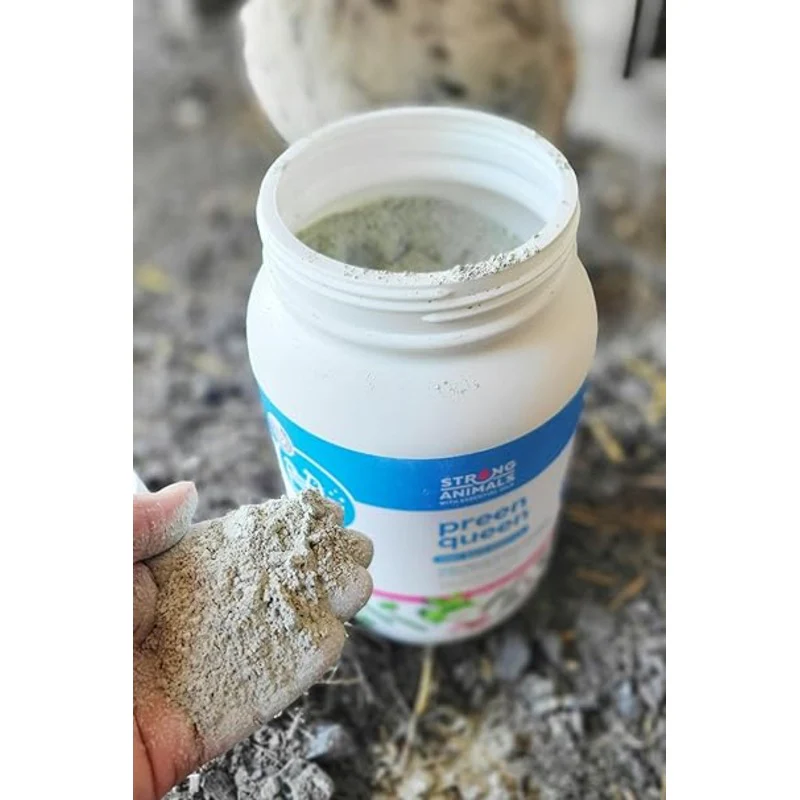 Preen Queen Dust Bath Additive for Chickens - Image 5