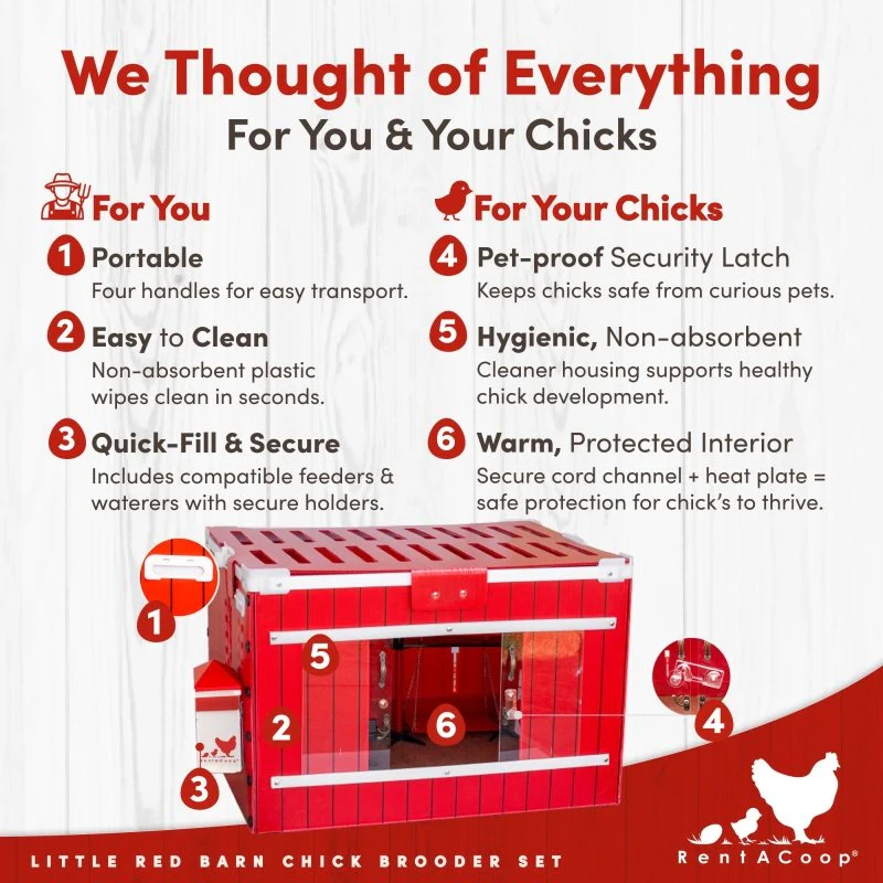 RentACoop Little Red Barn Chick Brooder Set | Durable, Lightweight, easy-clean, multipurpose | With Heating Plate, Feeder, Waterer, Chick Swing, Absorbent Hatchling Liners, Jute Liners, LED Light, Security Latch - Image 3