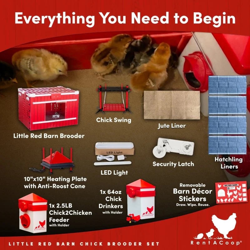 RentACoop Little Red Barn Chick Brooder Set | Durable, Lightweight, easy-clean, multipurpose | With Heating Plate, Feeder, Waterer, Chick Swing, Absorbent Hatchling Liners, Jute Liners, LED Light, Security Latch - Image 5