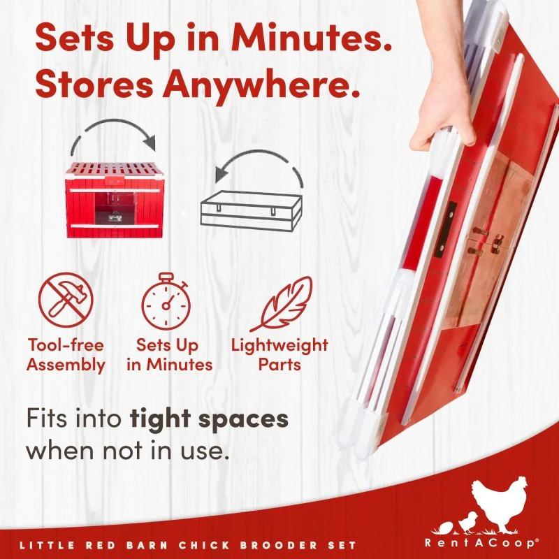 RentACoop Little Red Barn Chick Brooder Set | Durable, Lightweight, easy-clean, multipurpose | With Heating Plate, Feeder, Waterer, Chick Swing, Absorbent Hatchling Liners, Jute Liners, LED Light, Security Latch - Image 7