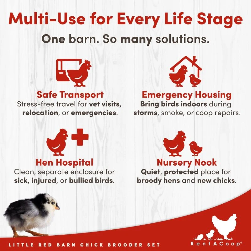 RentACoop Little Red Barn Chick Brooder Set | Durable, Lightweight, easy-clean, multipurpose | With Heating Plate, Feeder, Waterer, Chick Swing, Absorbent Hatchling Liners, Jute Liners, LED Light, Security Latch - Image 8