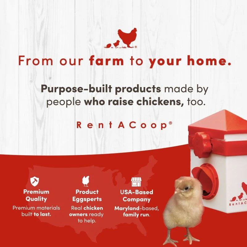 RentACoop Little Red Barn Chick Brooder Set | Durable, Lightweight, easy-clean, multipurpose | With Heating Plate, Feeder, Waterer, Chick Swing, Absorbent Hatchling Liners, Jute Liners, LED Light, Security Latch - Image 9