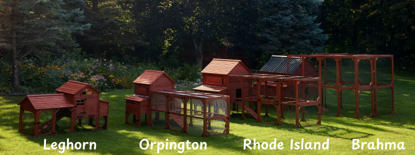 Chicken Coop for 4 Chickens – Leghorn Cottage Chicken Coop - Image 11