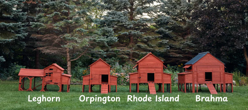 Chicken Coop for 4 Chickens – Leghorn Cottage Chicken Coop - Image 12