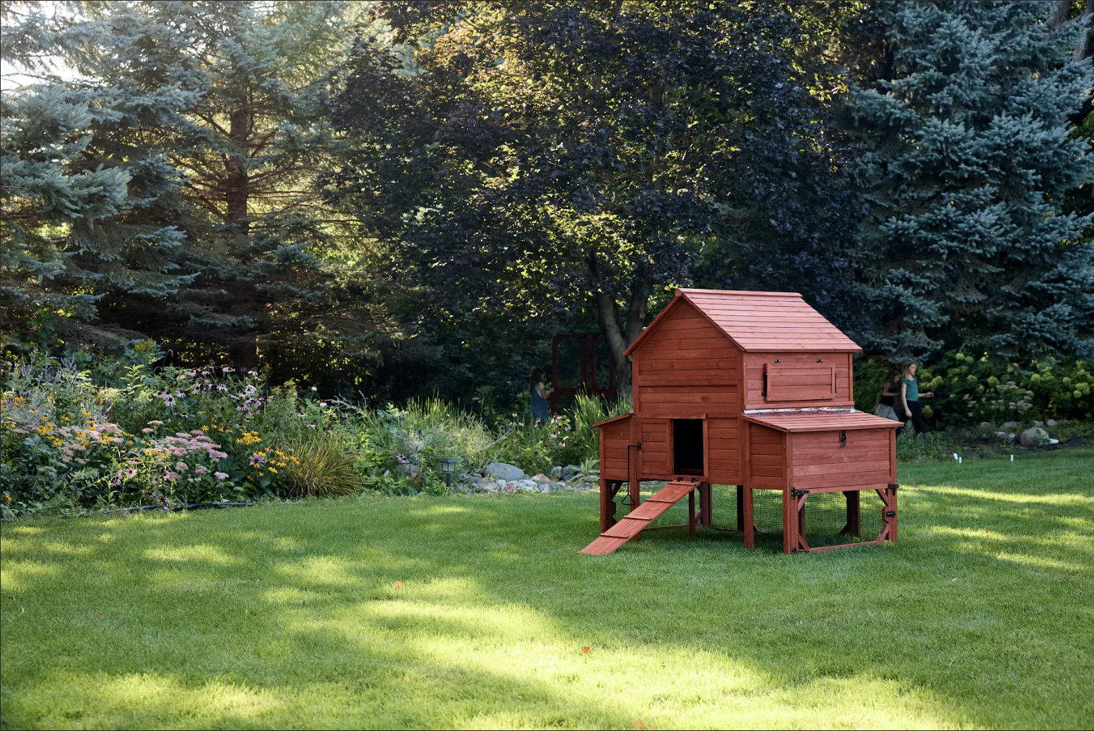 Chicken Coop for 10 Chickens - Rhode Island Homestead (Hen House Only) - Image 2