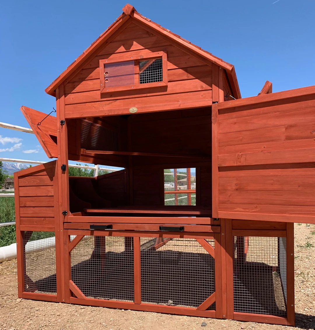 Chicken Coop for 10 Chickens - Rhode Island Homestead (Hen House Only) - Image 5