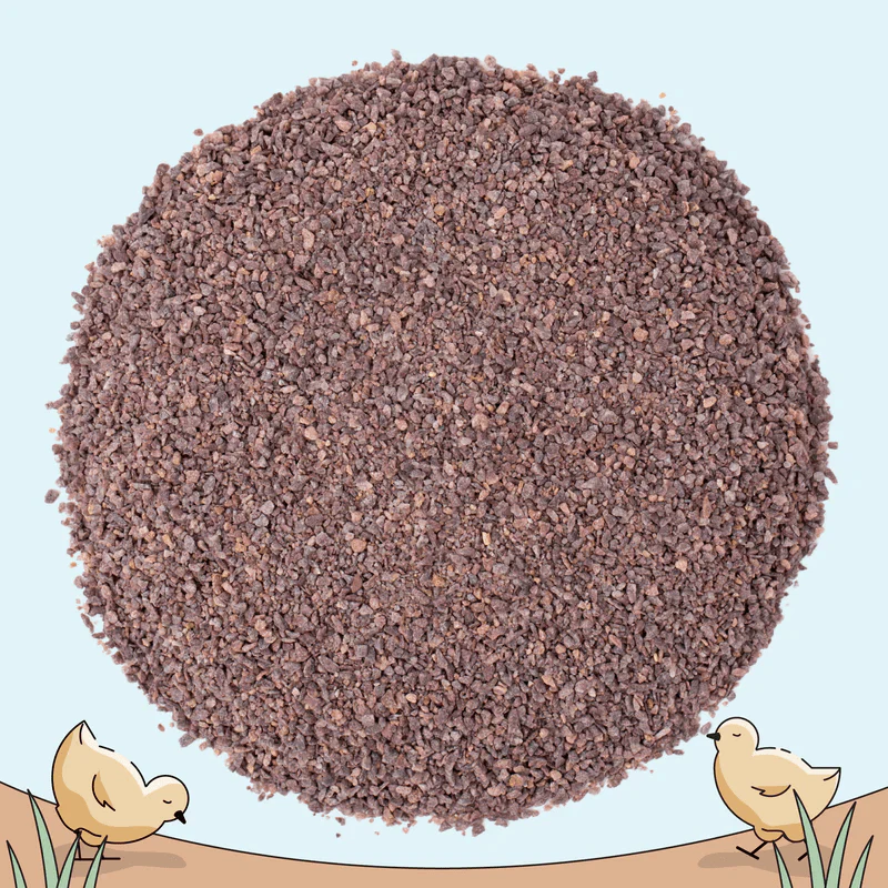 Starter Feed Kit | 8 Weeks of Organic Feed & Grit for 10 Chicks - Image 10