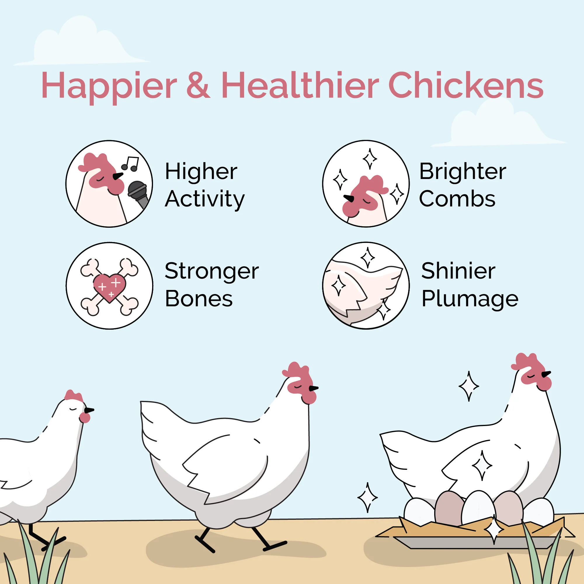Starter Feed Kit | 8 Weeks of Organic Feed & Grit for 10 Chicks - Image 3