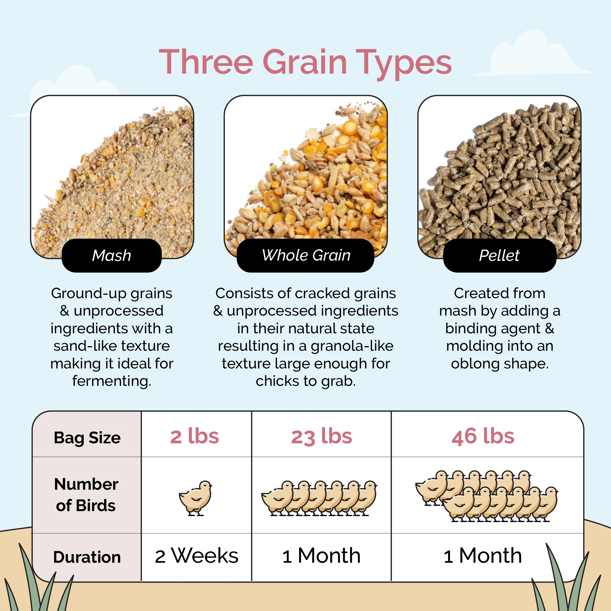 Starter Feed Kit | 8 Weeks of Organic Feed & Grit for 10 Chicks - Image 6