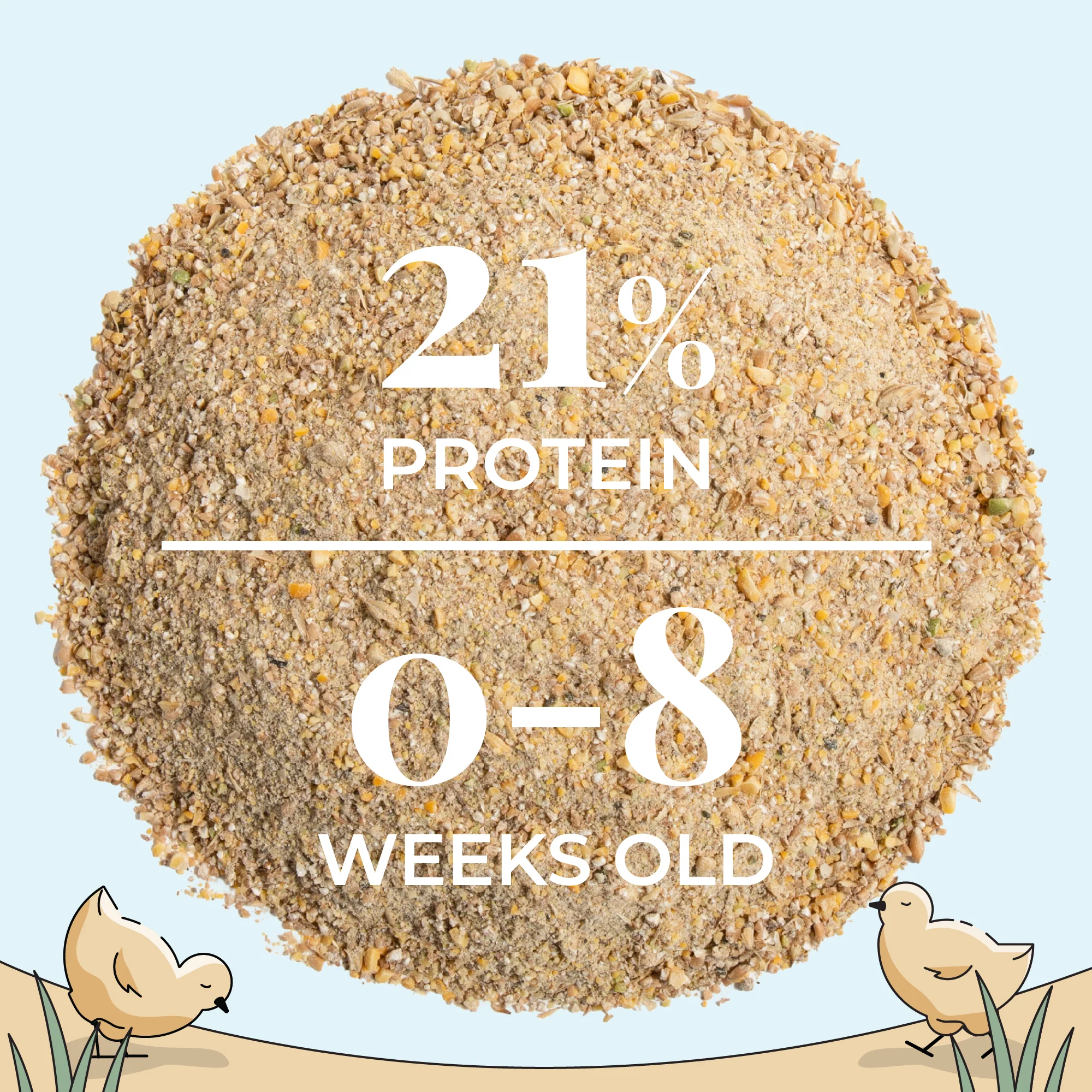 Starter Feed Kit | 8 Weeks of Organic Feed & Grit for 10 Chicks - Image 7
