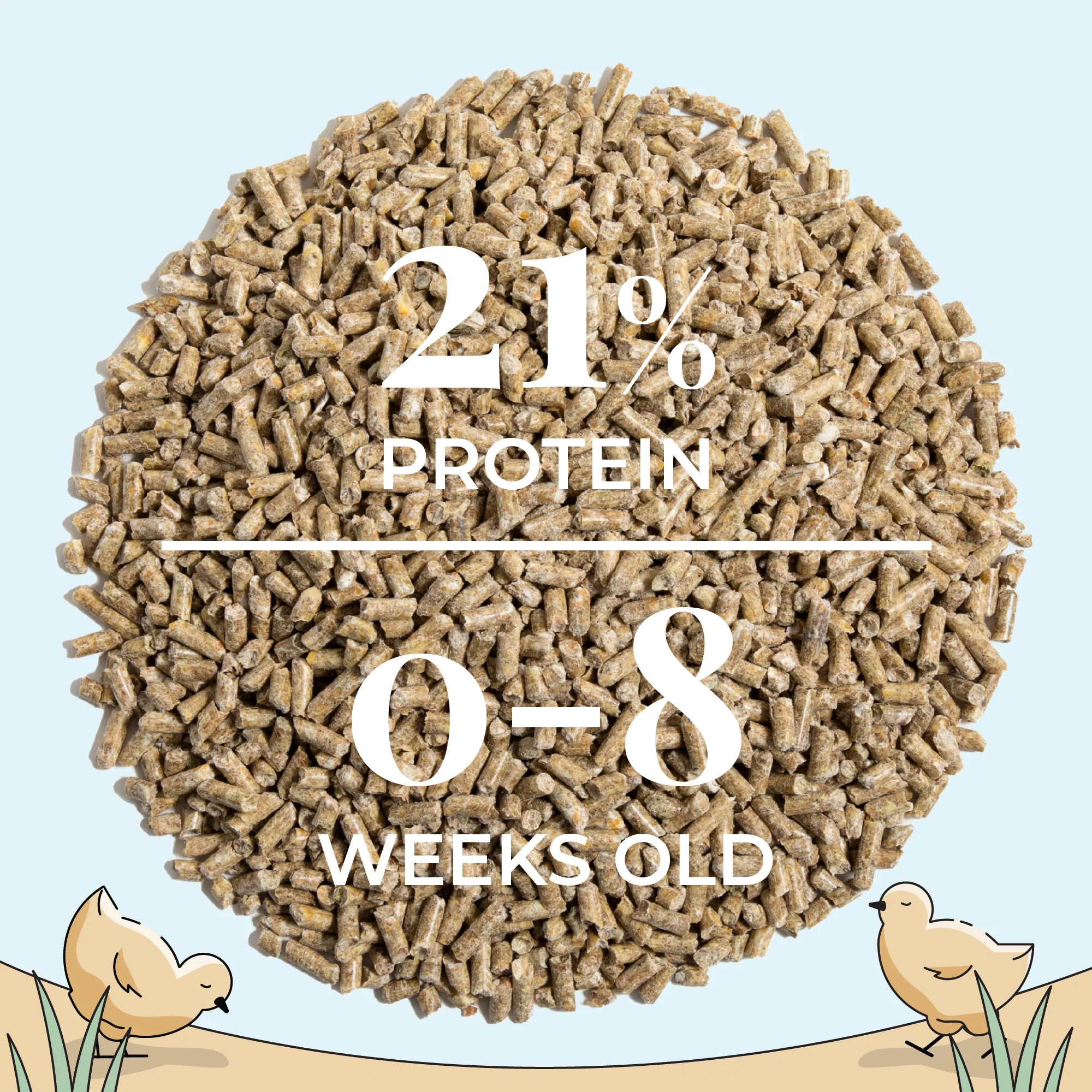 Starter Feed Kit | 8 Weeks of Organic Feed & Grit for 10 Chicks - Image 8