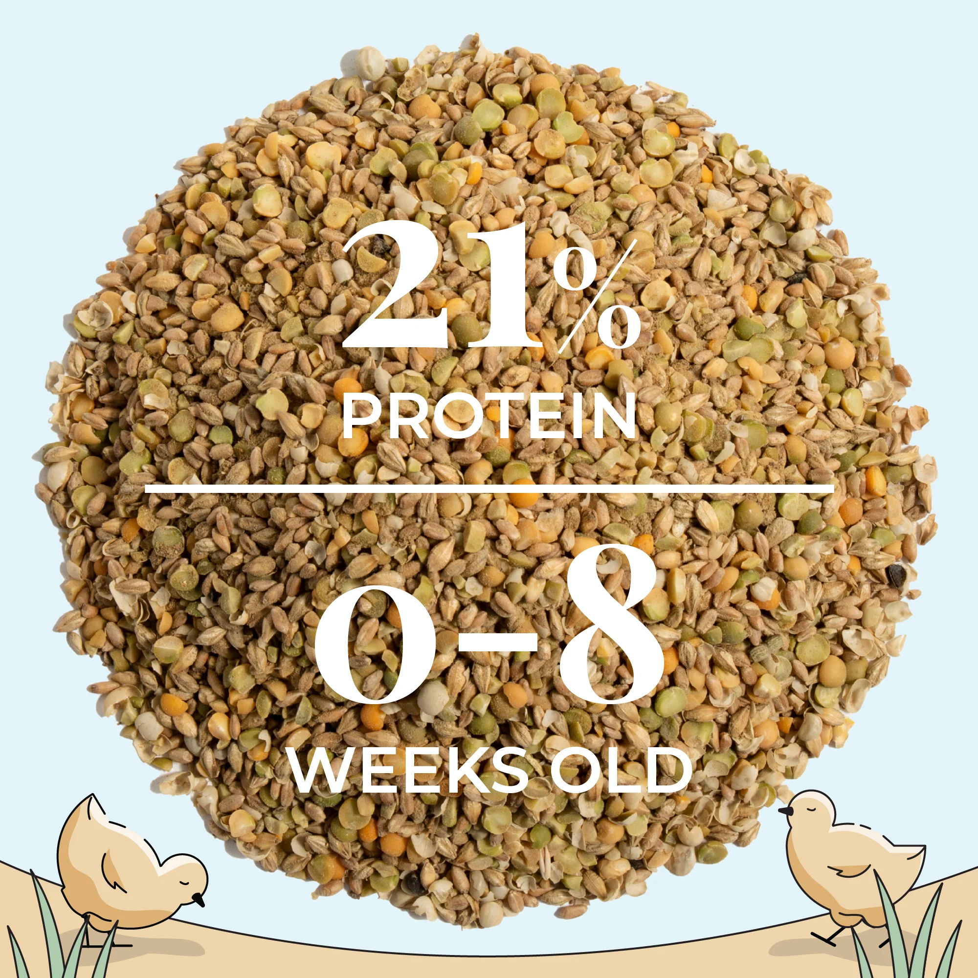 Starter Feed Kit | 8 Weeks of Organic Feed & Grit for 10 Chicks - Image 9