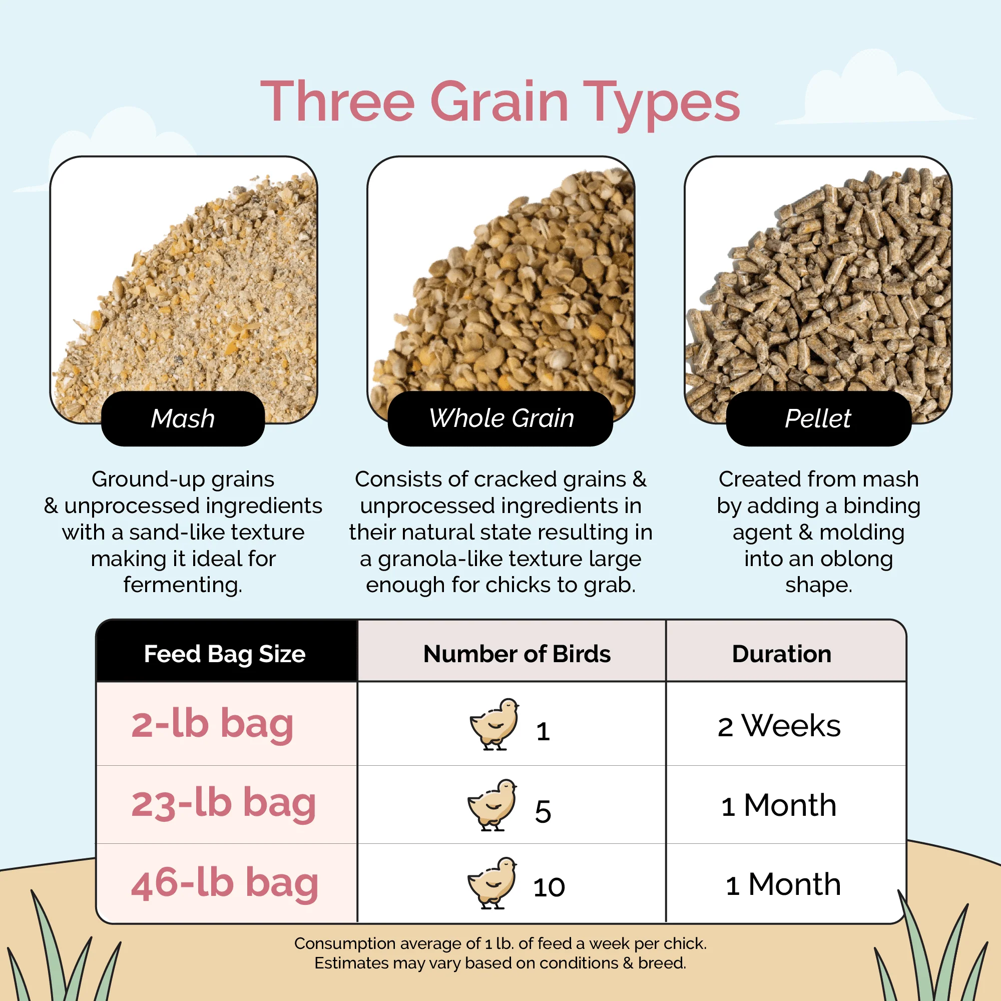 Starter Organic Chicken Feed - Image 20