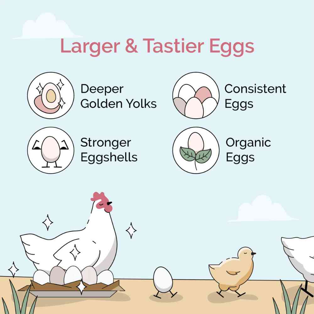 Starter Organic Chicken Feed - Image 23