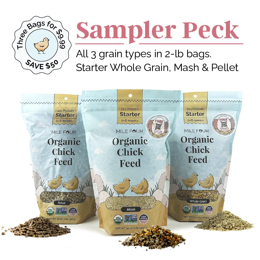 Starter Organic Chicken Feed - Image 31