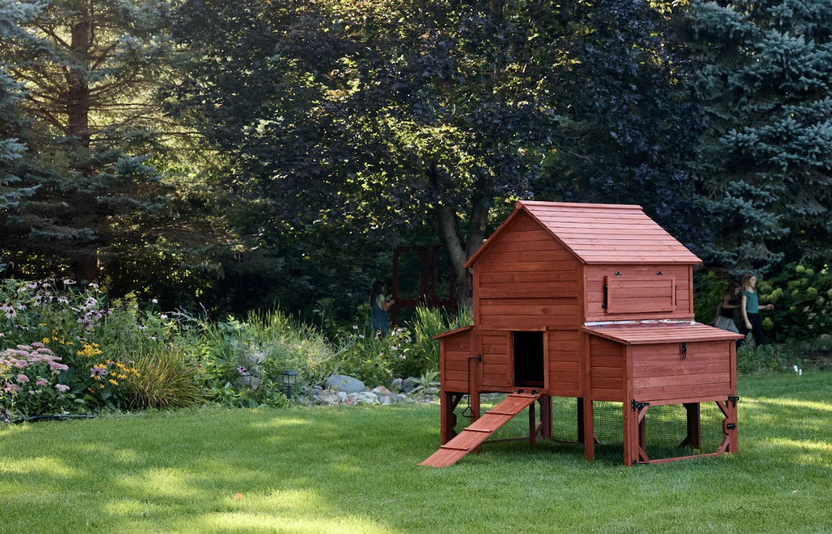 Chicken Coop for 10 Chickens – Rhode Island Homestead Coop with Run Extension Options - Image 4